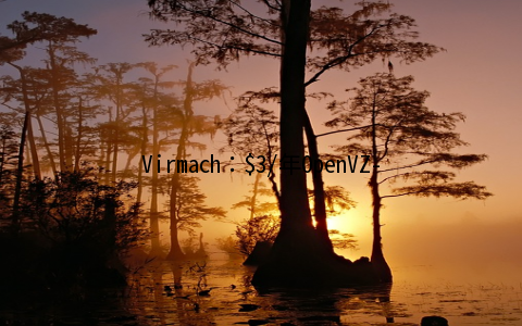 Virmach：$3/年OpenVZ-128MB/10G SSD/250GB 洛杉矶