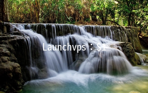 Launchvps：$19.95/年KVM-768MB/20GB/768GB/费城机房